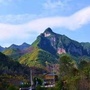 河北镇发布ico