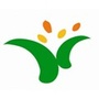 大沥镇黄岐小学ico