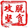 三门峡微扶贫ico