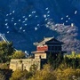 文明城市秦皇岛ico