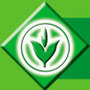 陕西人民教育出版社NO1ico