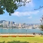 江左杨郎ico