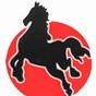 黑马东方明珠ico