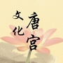 唐宫路办事处ico