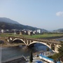 罗里大地方ico