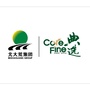 北大荒清泉ico