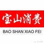 宝山消费ico