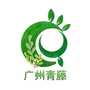青藤 Fan领域ico