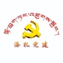 洛扎微党建ico