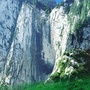 通粉情感ico