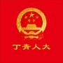 丁青人大ico