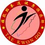 福建跆拳道青道馆ico