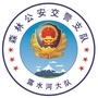森林交警露水河大队公众号ico