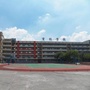 东莞市望牛墩育林学校ico