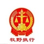 新乡市牧野区人民法院执行局ico