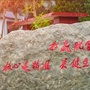 智慧德保巴龙村ico
