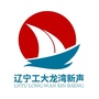 辽宁工大龙湾新声ico