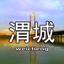 渭城新视界ico