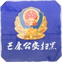 芒康公安扫黑ico