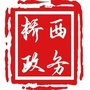 桥西政务ico