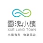 雪浪小镇ico
