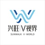 兴旺V视界ico