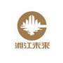 湘江未来公众号ico