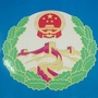 潮安信访ico