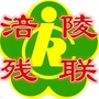 涪陵残联ico