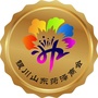 银川山东菏泽商会ico