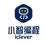 小智编程ico