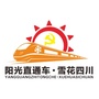 阳光直通车重庆营销中心站ico