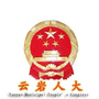 云岩人大ico
