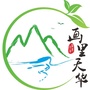 画里天华公众号ico