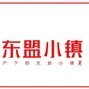 花山东盟小镇ico