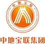 中地宝联公众号ico
