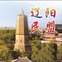 辽阳民盟ico