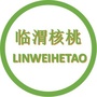 临渭核桃ico
