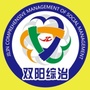 平安e双阳ico