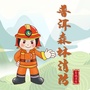 普洱市森林消防ico