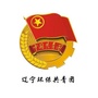 辽宁环保共青团公众号ico