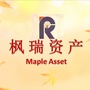 枫瑞视点ico