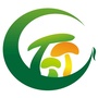 龙湖蘑菇ico