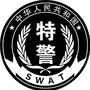 石城特警ico