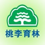 桃李育林ico