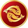 双鱼座俱乐部ico