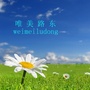 唯美路东ico