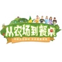广东卫视从农场到餐桌ico