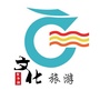 龙子湖文旅ico