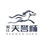 渠江天誉城ico